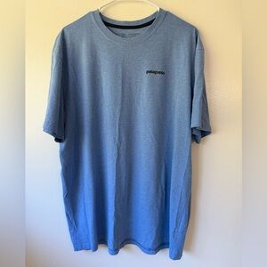 Patagonia Men's Short Sleeve Tee in Blue